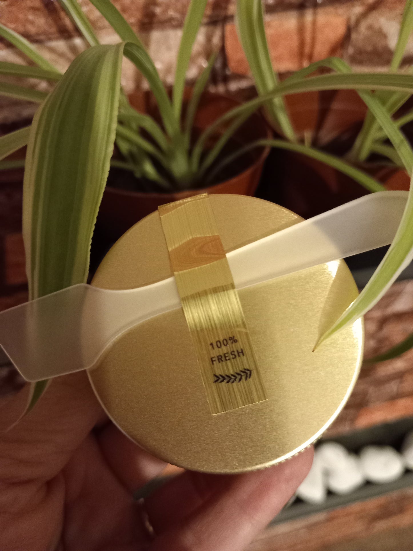 RadialAura – Natural Deo Cream